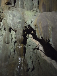 DSCN5715
