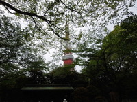 DSCN0461