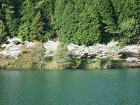DSCF1259