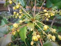 DSCN0541