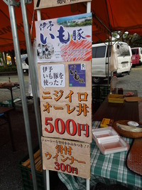 DSCN5991