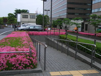 RIMG0006