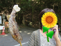 BlogPaint