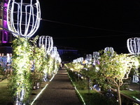 20140823_195117