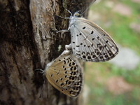 DSCN8660