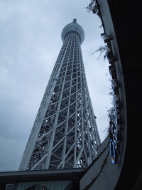 DSCN0396