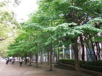 DSCN0684