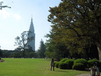 DSCN9884