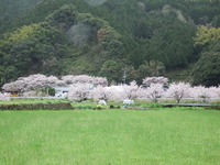 DSCF0892