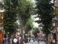 DSCN0115