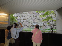 DSCN0589