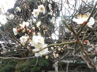 DSCN0502