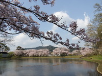 DSCF1168