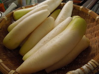 DSCN1224