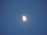 DSCN0625