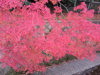 20141128_132036