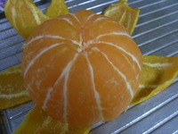 RIMG0282