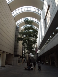 DSCN9765