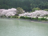DSCF1109