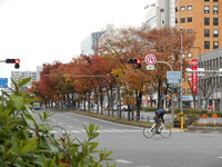DSCN9962