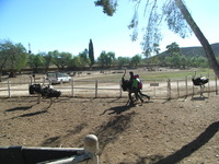 RIMG2149