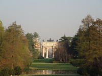 DSCN6536