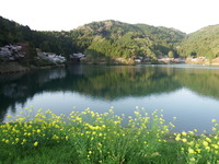 DSCF1451