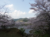 DSCF1177