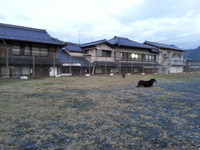 20151124_171514