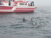 20140824_104240