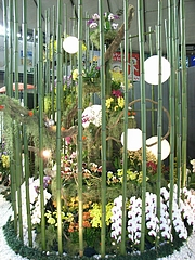 RIMG0043