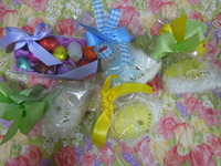 DSCN6625