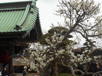 DSCN0511