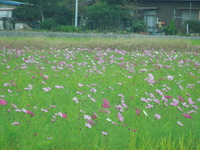 DSCN0148