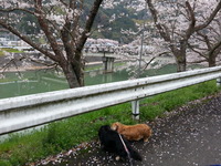 20170412_074106