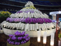 DSCN0491