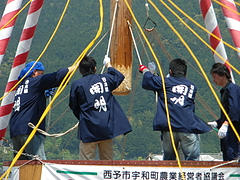 IMGP2418