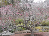 DSCN0504