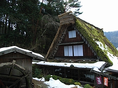 RIMG0044