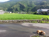 20160626_074117