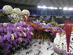 RIMG0317