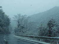 DSCN2131