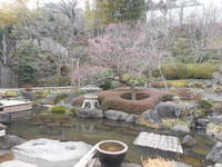 DSCN0503