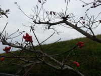 20151123_110042