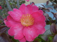 DSCN0083
