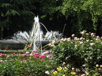 DSCN0672