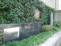 DSCN9753