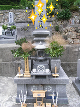 RIMG0640.JPG
