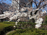 20150325_125950