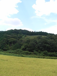 RIMG0945